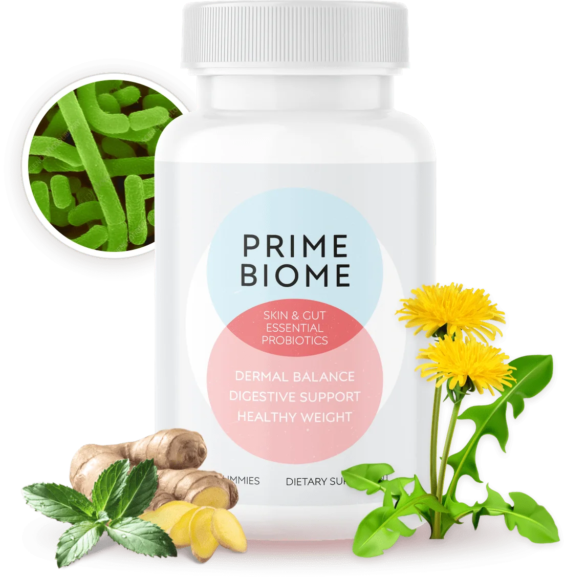 PrimeBiome Reviews 2026: Does This Gut Health Supplement Really Work?